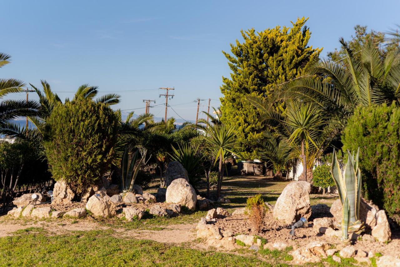 Marina'S Paradise Summer House Vagia  外观 照片
